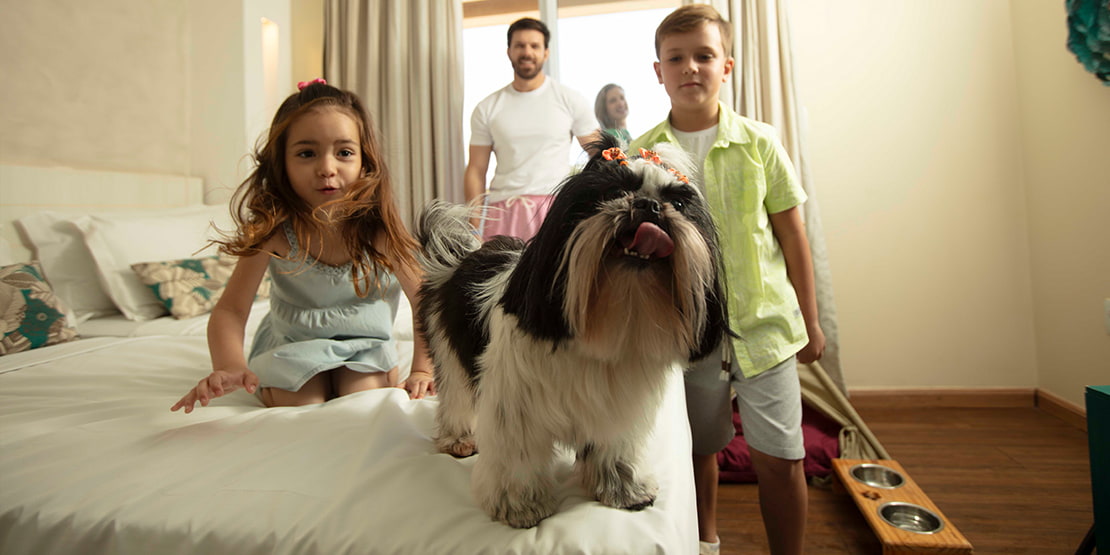 familia em quarto de hotel com cachorro em cima da cama