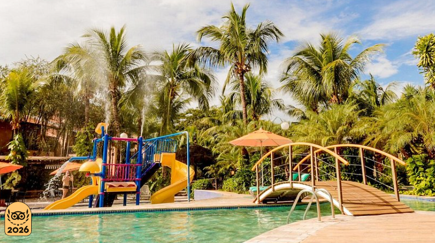 piscinas e coqueiros em olimpia